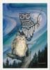 Night owl